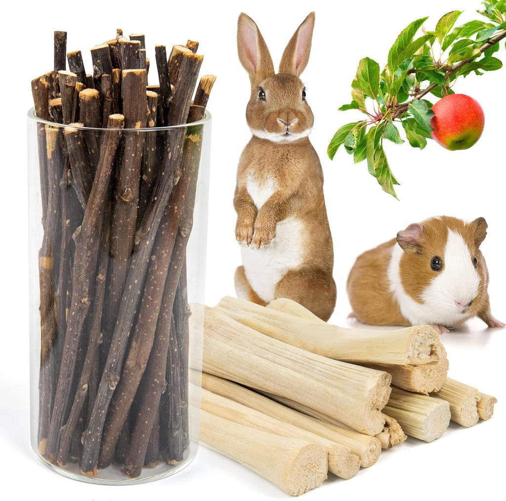 Premio Natural para Animales Pequeños - Modelo 2