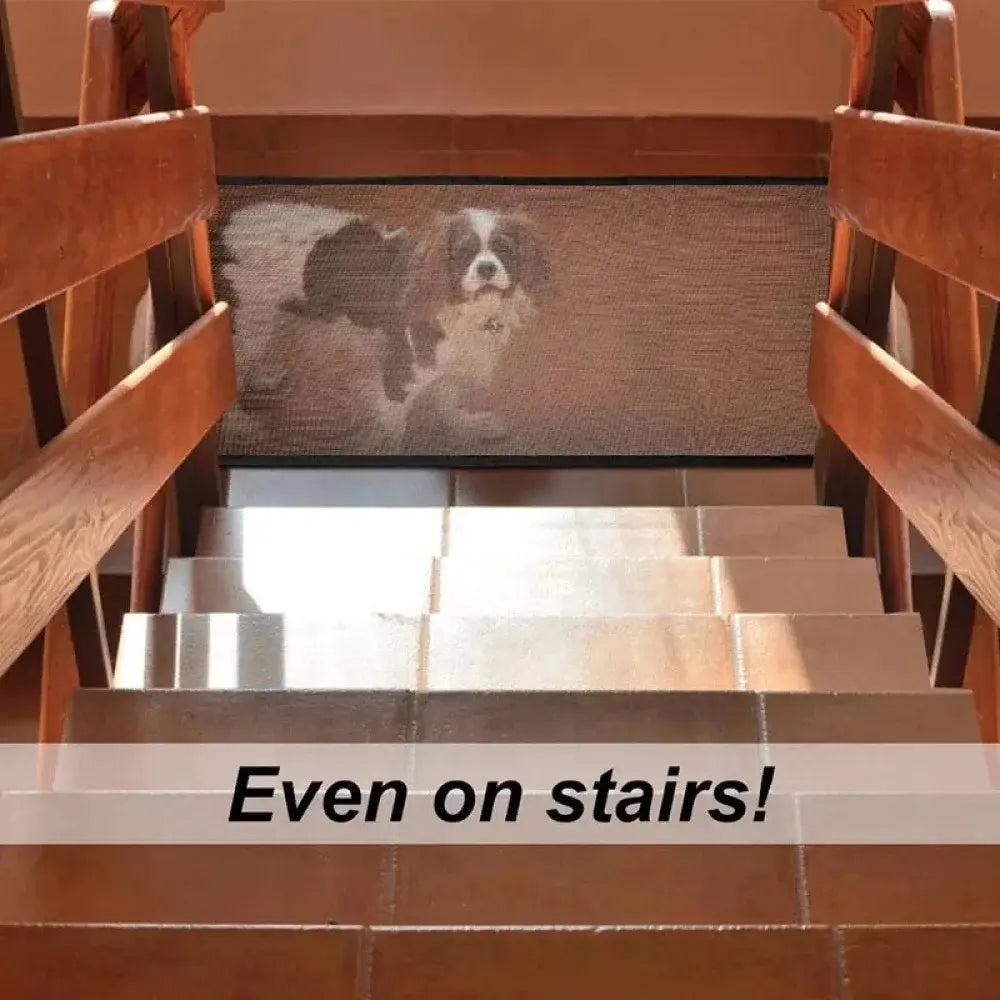 Escalera y Rampa Plegable Portátil para Perros - imagen 5