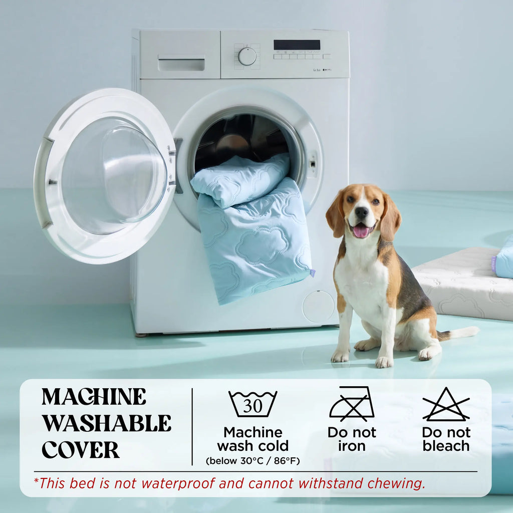 Cama Talla XL para Perros - imagen 8