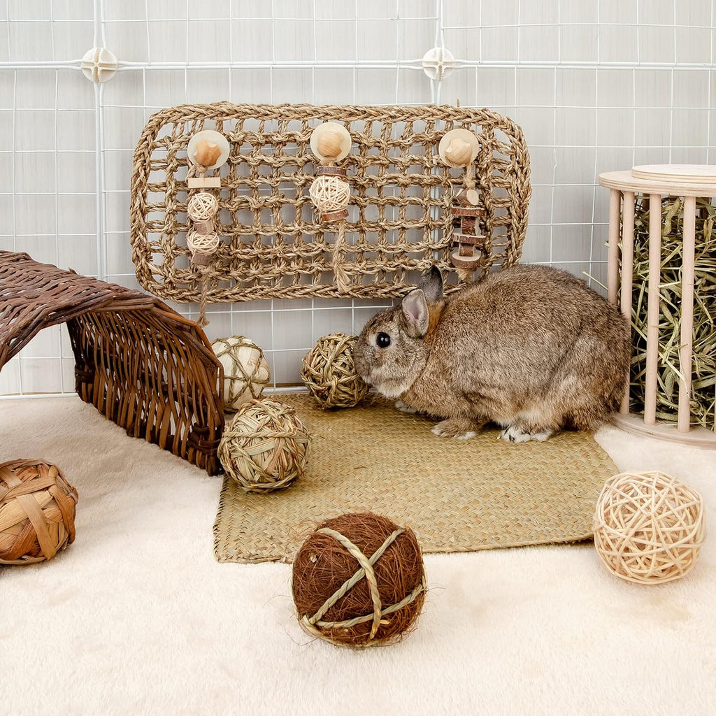 Premio Natural para Animales Pequeños Pack Of 8 - imagen 7