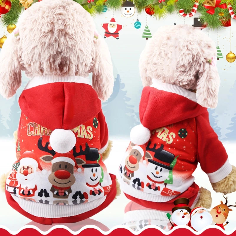Ropa para Perros Azul - imagen 9