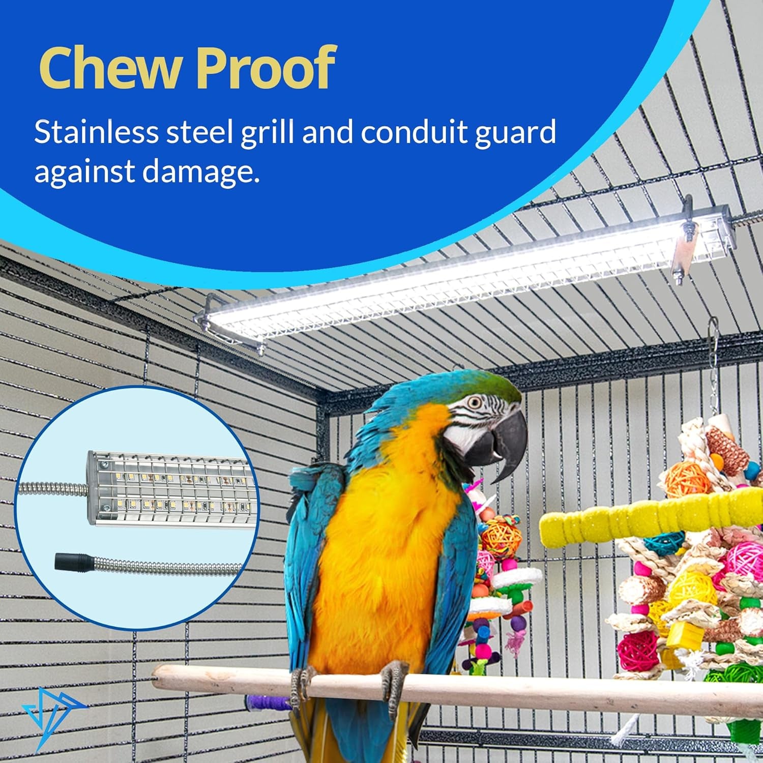 Premio Natural para Aves - imagen 4