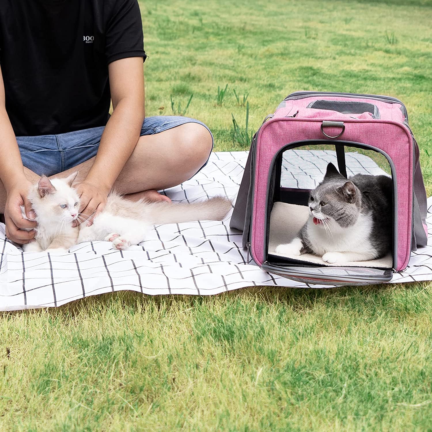 Transportín para Perros - imagen 6