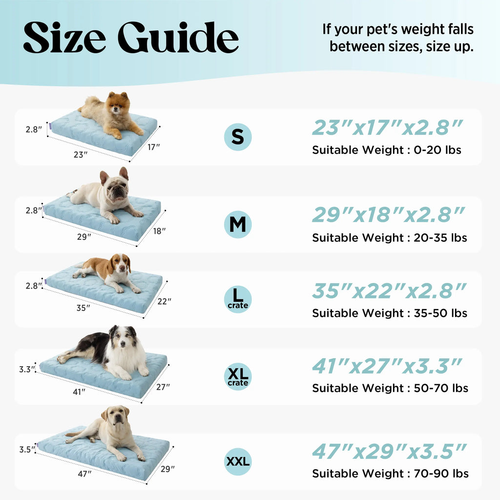 Cama Talla XL para Perros - imagen 9