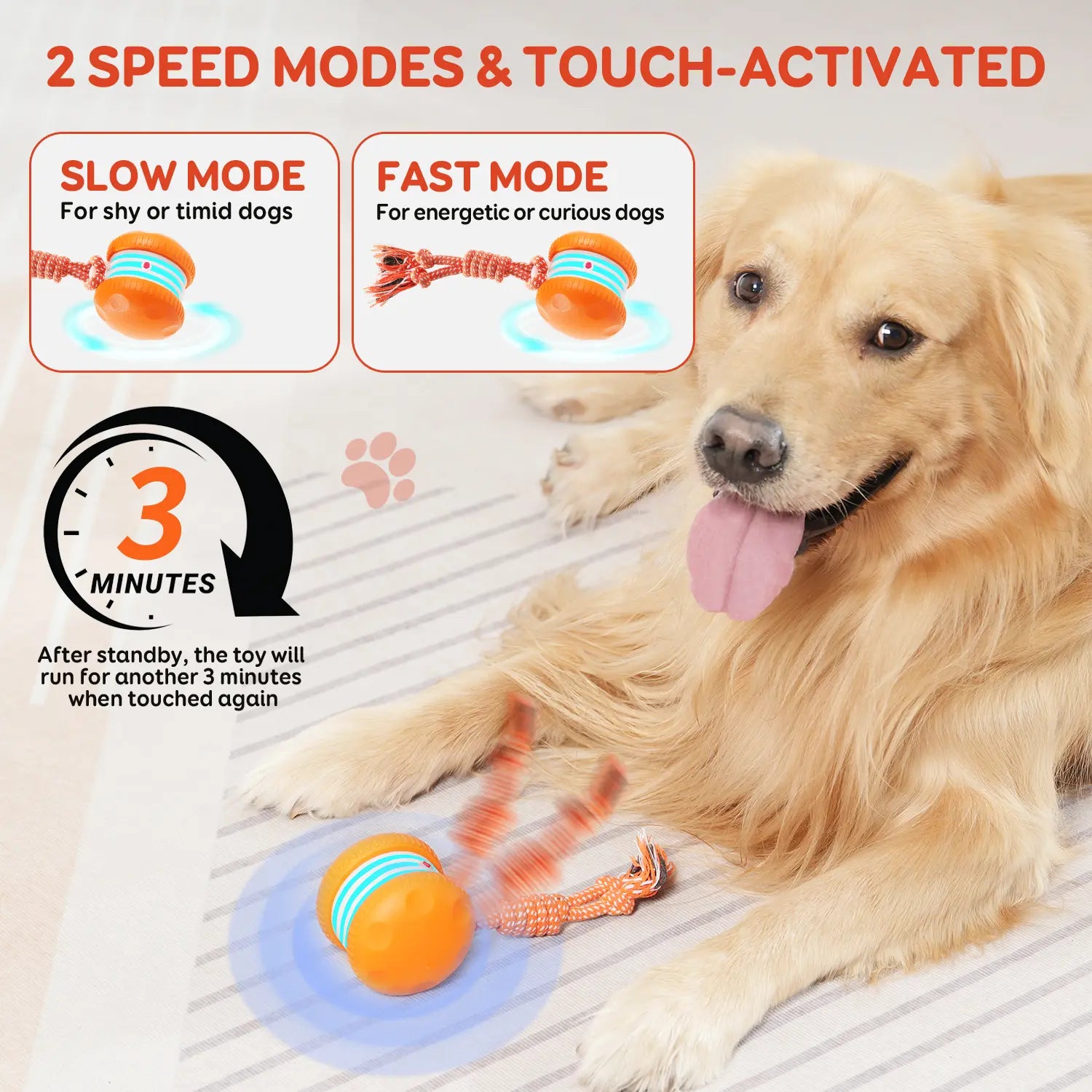 Juguete para Perros - Modelo 2 - imagen 4