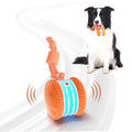 Juguete para Perros - Modelo 2