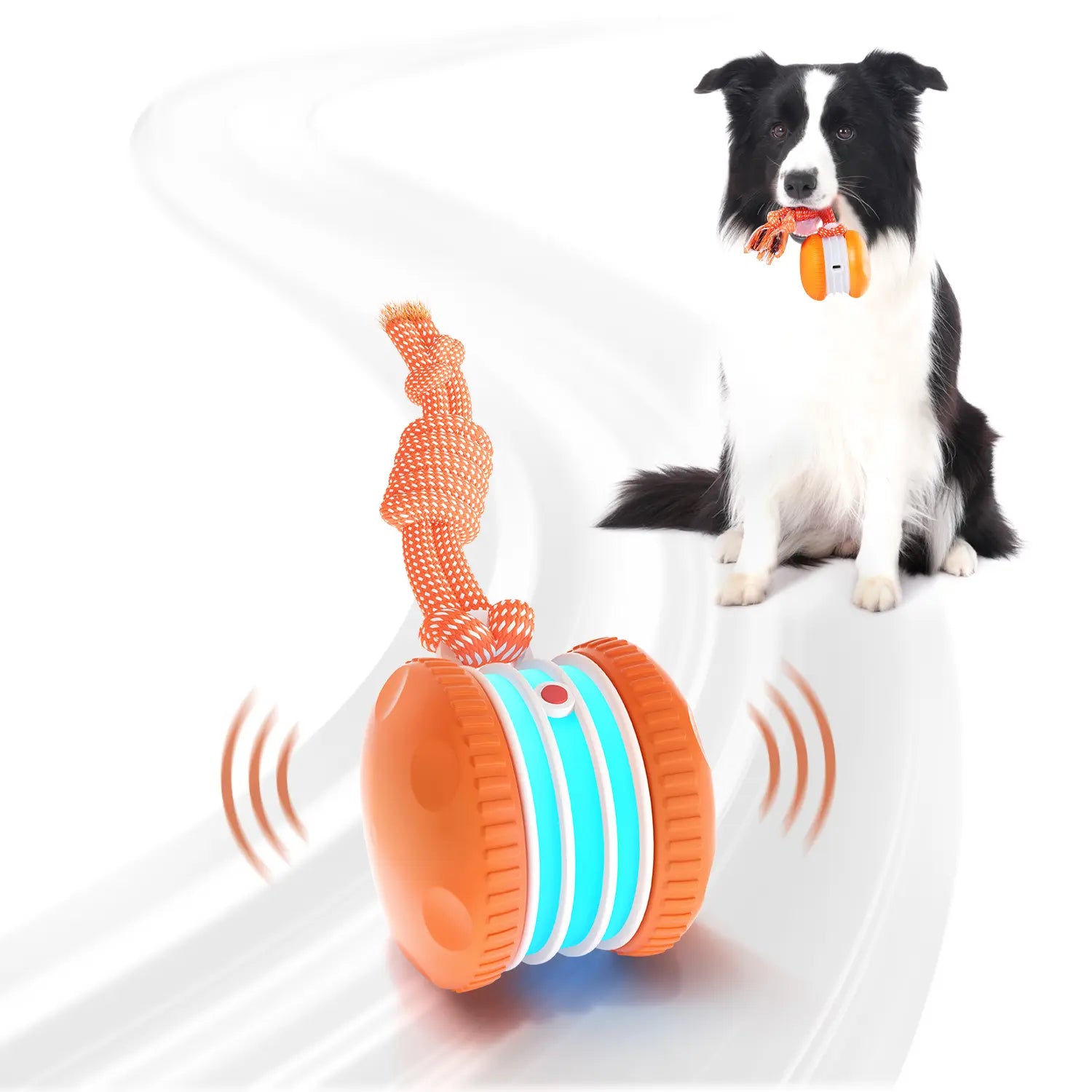 Juguete para Perros - Modelo 2
