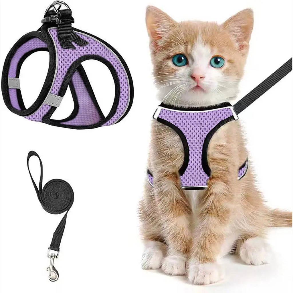 Set Arnés y Correa Ajustable Transpirable para Gatos - imagen 6