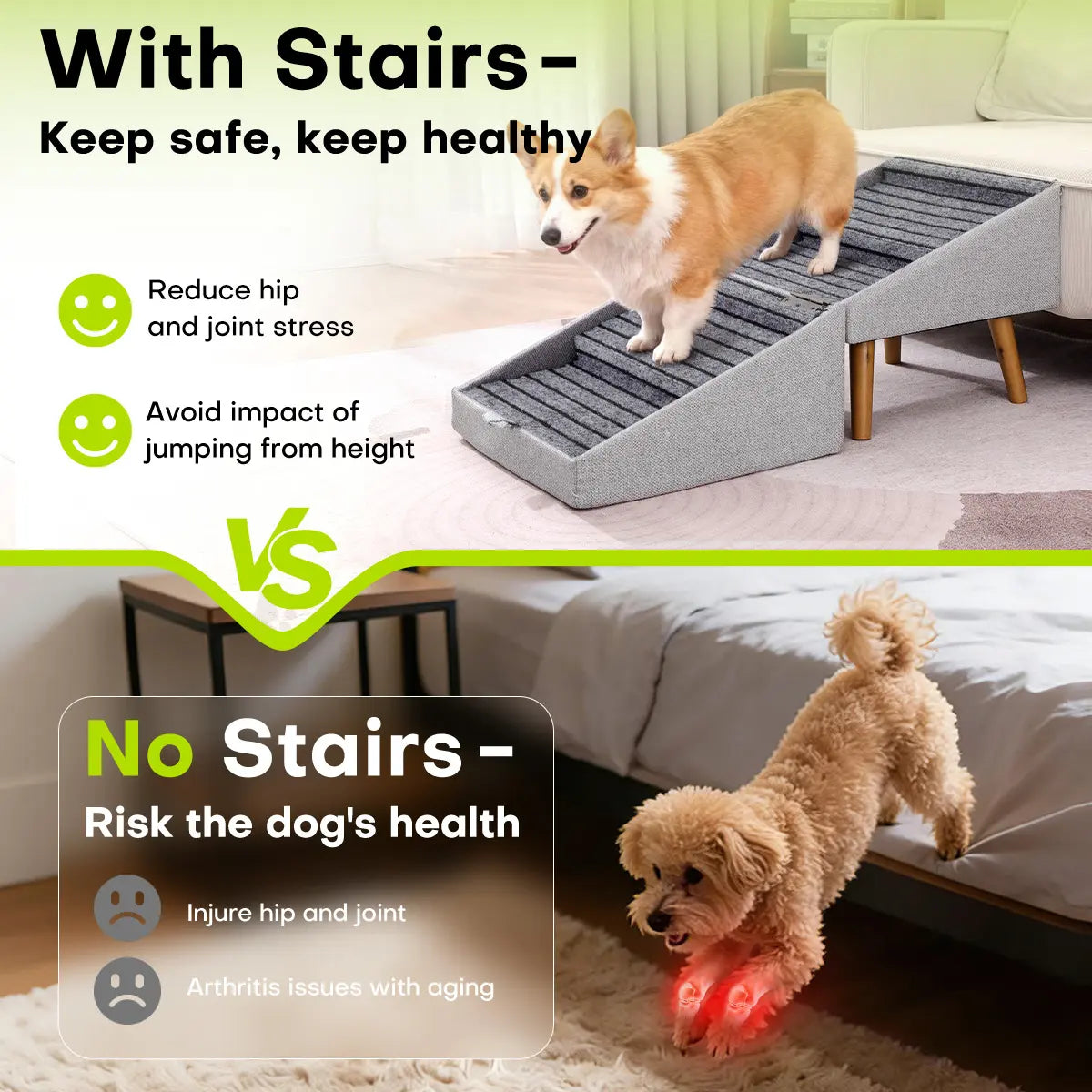 Escalera y Rampa para Perros - imagen 4
