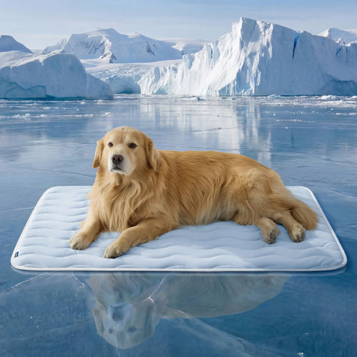 Cama para Mascotas Thin Mat-Azul