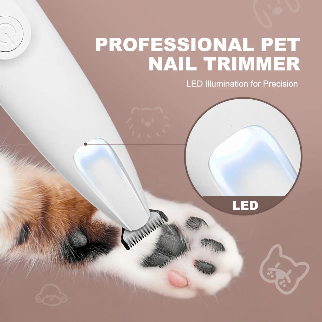 Luz LED para Mascotas - imagen 2