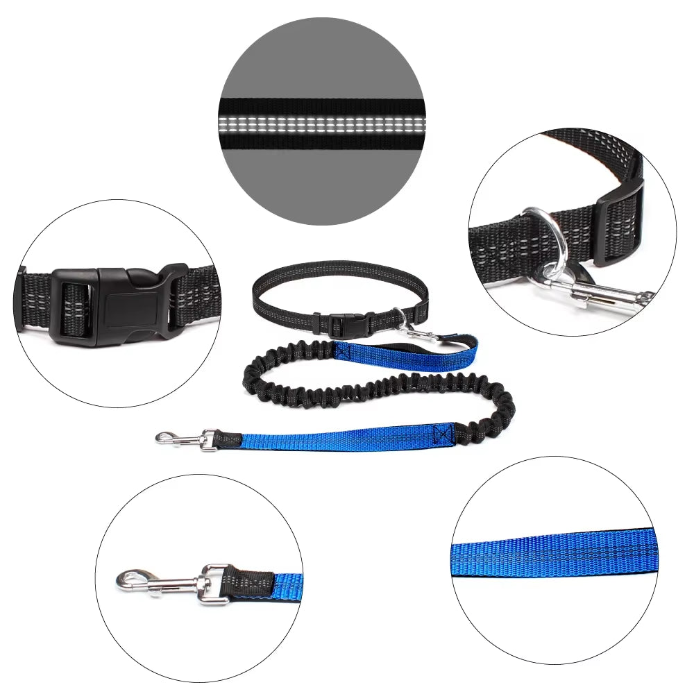 Correa Ajustable para Perros - imagen 4