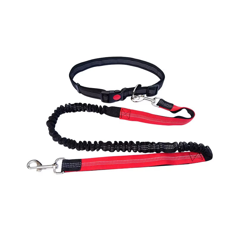 Correa Ajustable para Perros - imagen 11