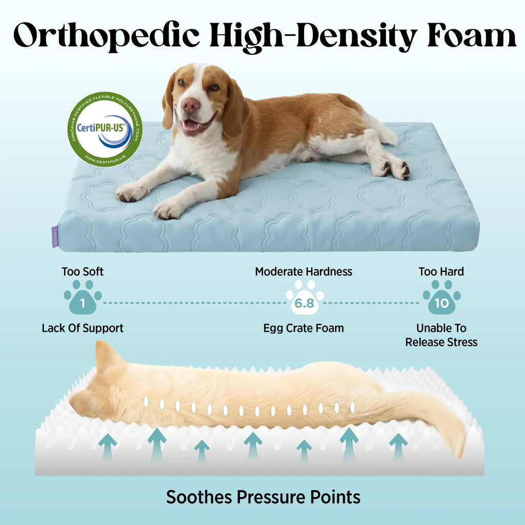 Cama Talla XL para Perros - imagen 7