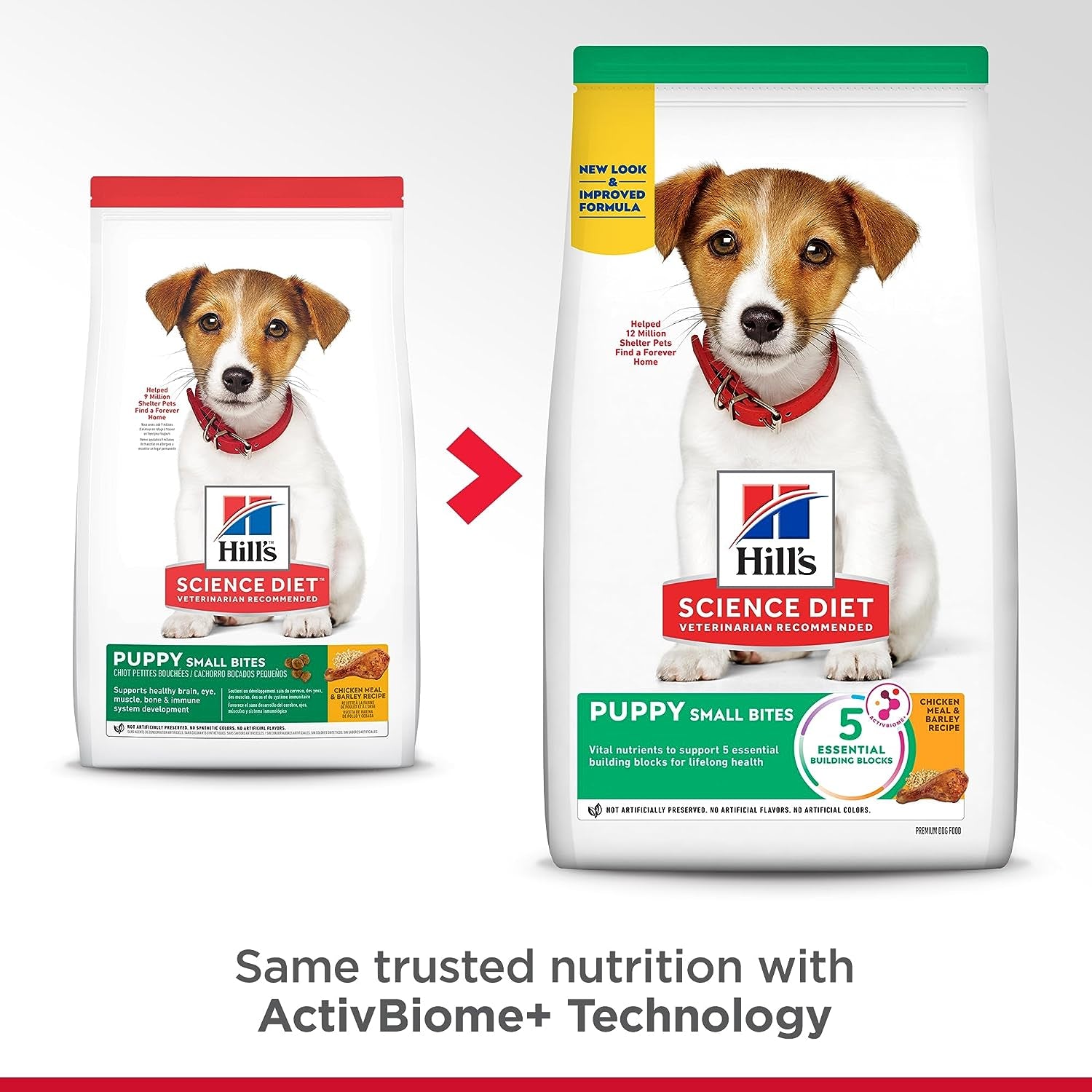Alimento para Perros - imagen 3