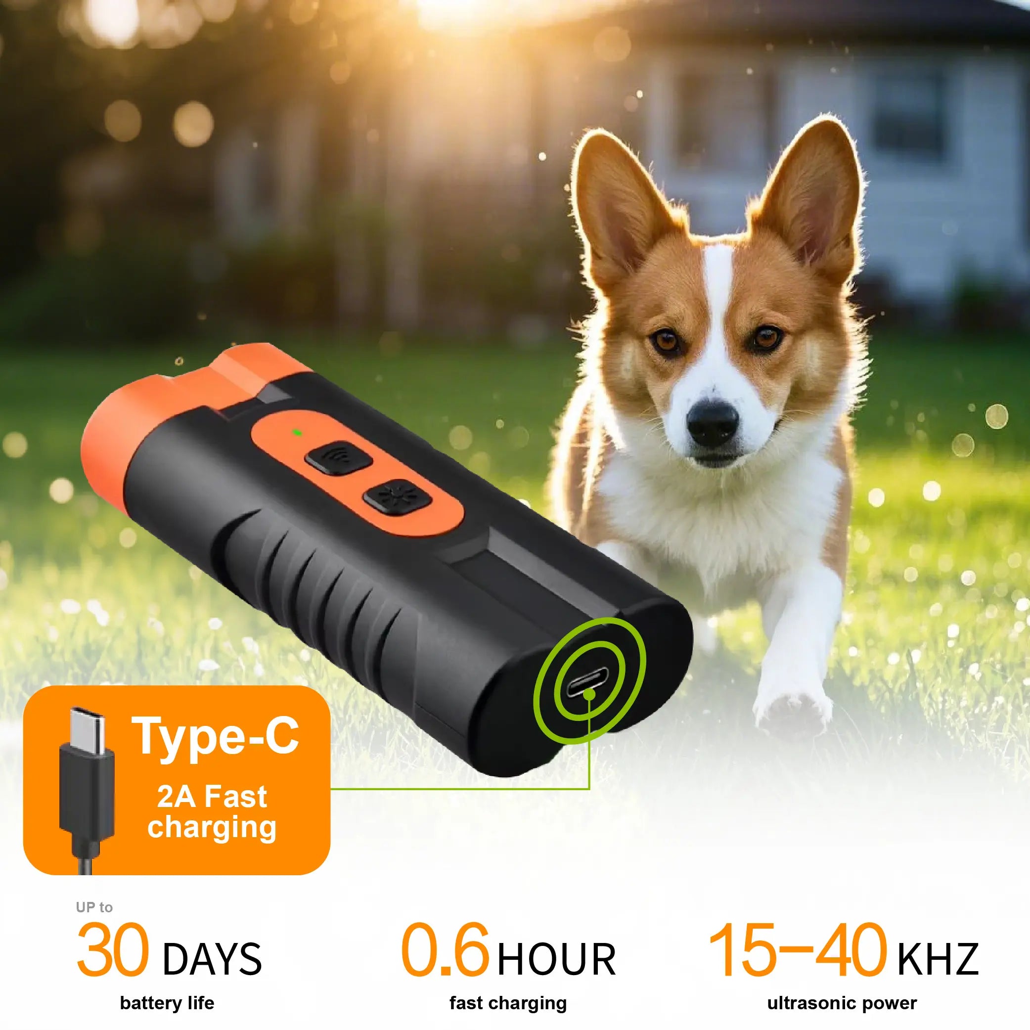 Silbato para Perros - imagen 7