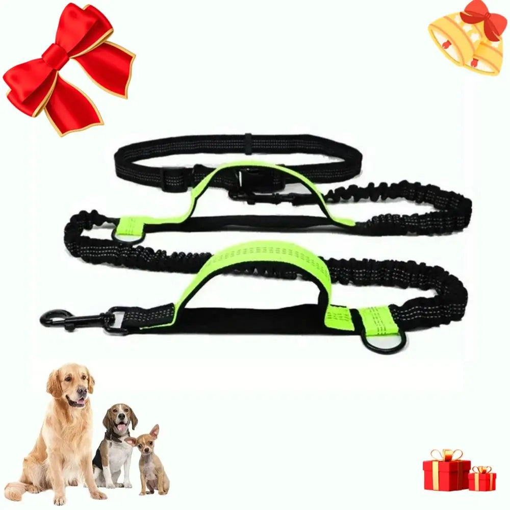 Correa Ajustable Portátil para Perros - imagen 6