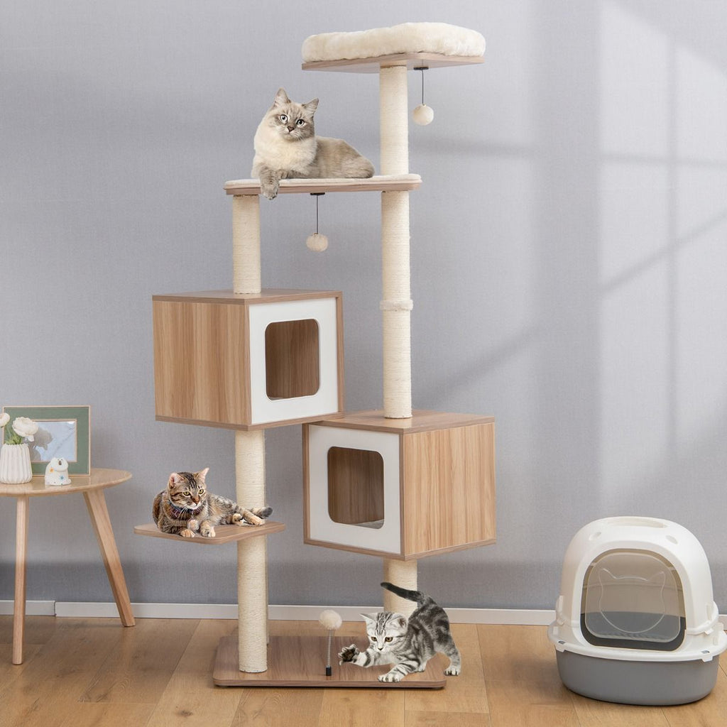 Accesorio Natural para Mascotas - imagen 5