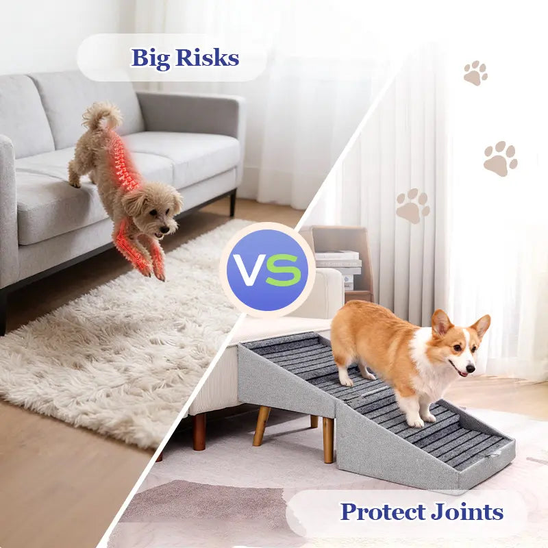 Escalera y Rampa para Perros - imagen 5