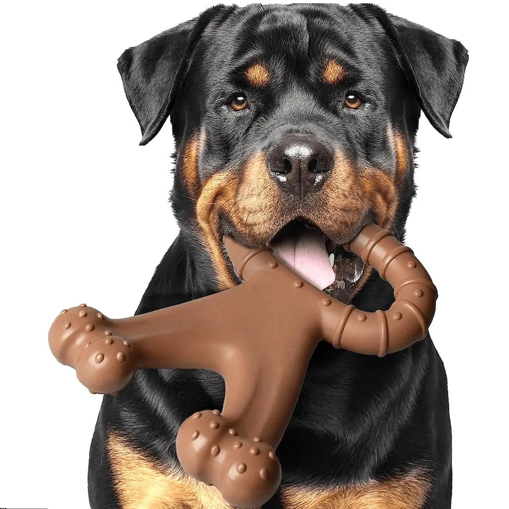 Premio Natural Talla XL para Perros