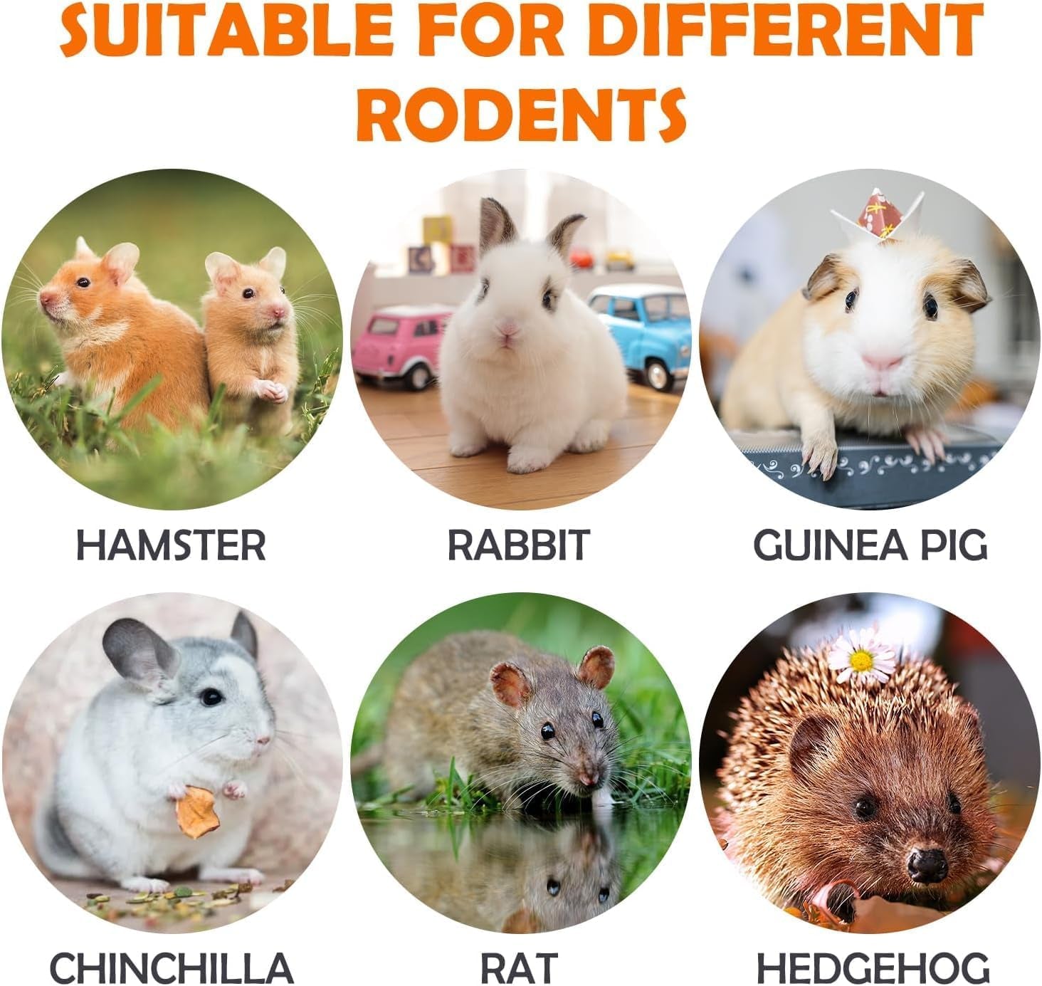 Premio Natural para Animales Pequeños 16Pcs Treats - imagen 3