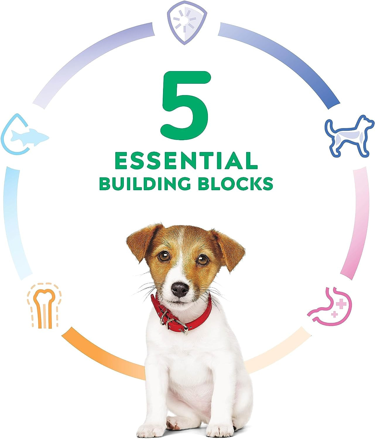 Alimento para Perros - imagen 6