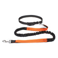 Correa Ajustable para Perros