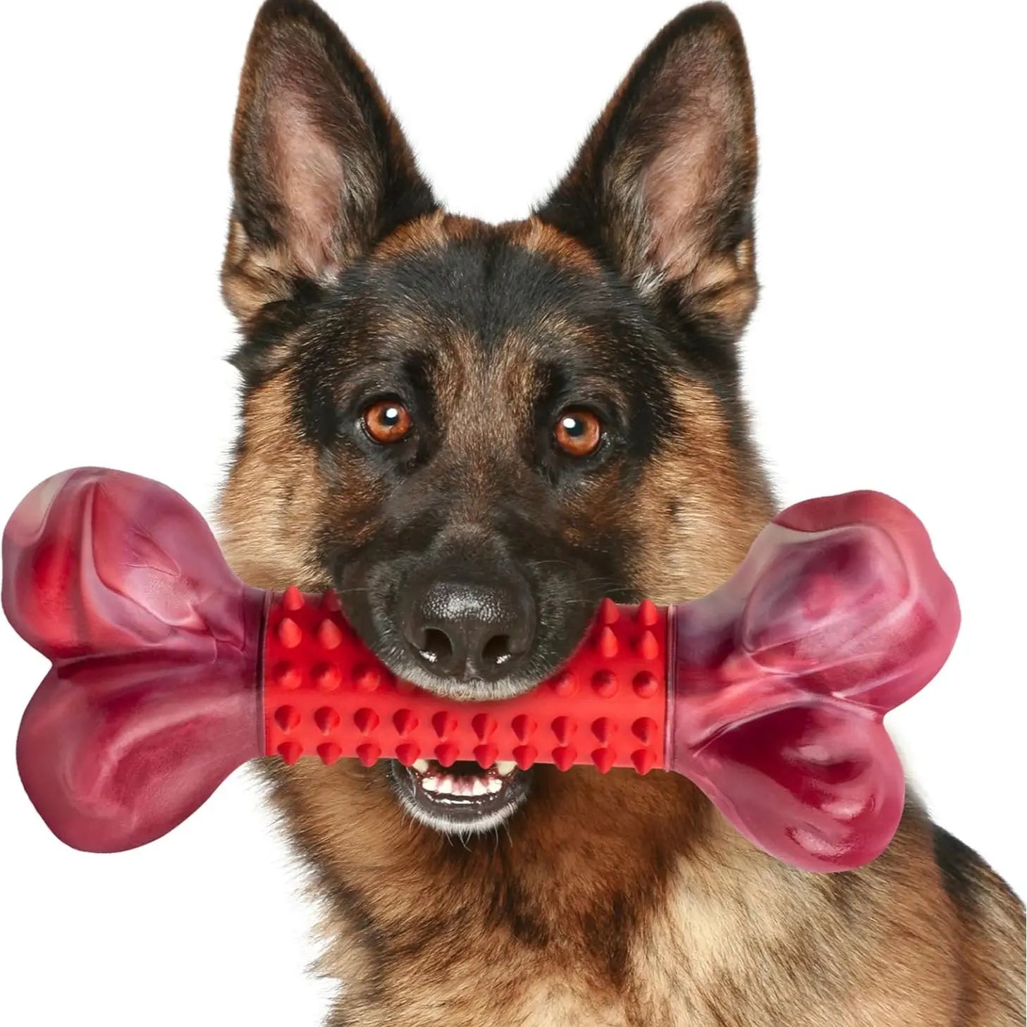 Premio Natural para Perros Ternera