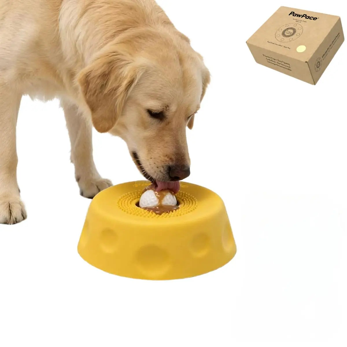 Premio Natural para Perros Slate Grey - imagen 2