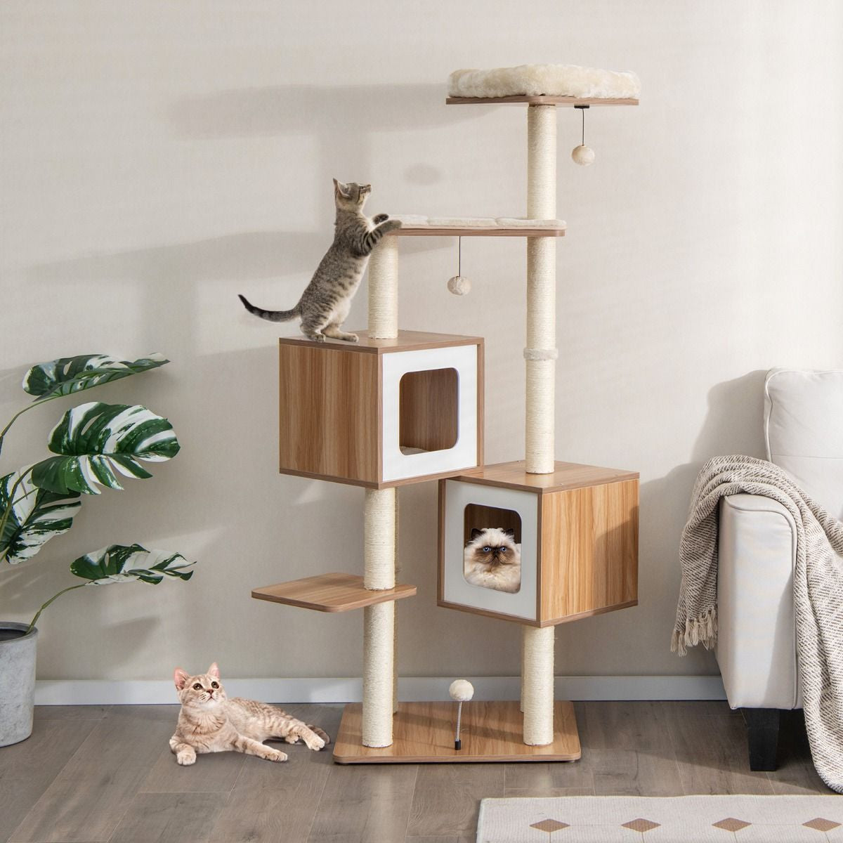 Accesorio Natural para Mascotas - imagen 2