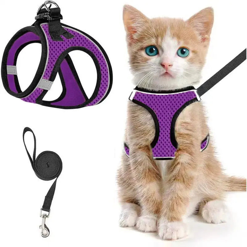 Set Arnés y Correa Ajustable Transpirable para Gatos - imagen 12