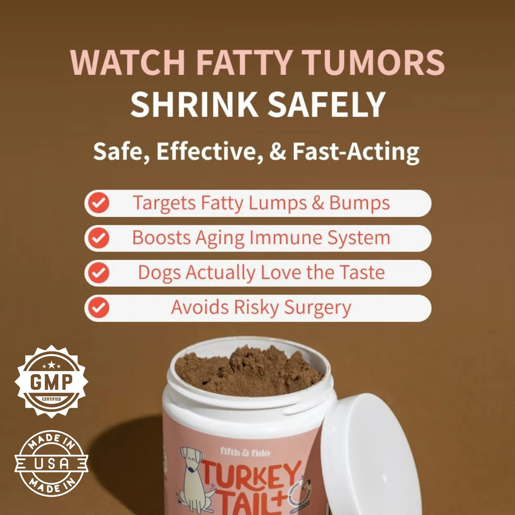 Alimento Natural para Perros - imagen 4