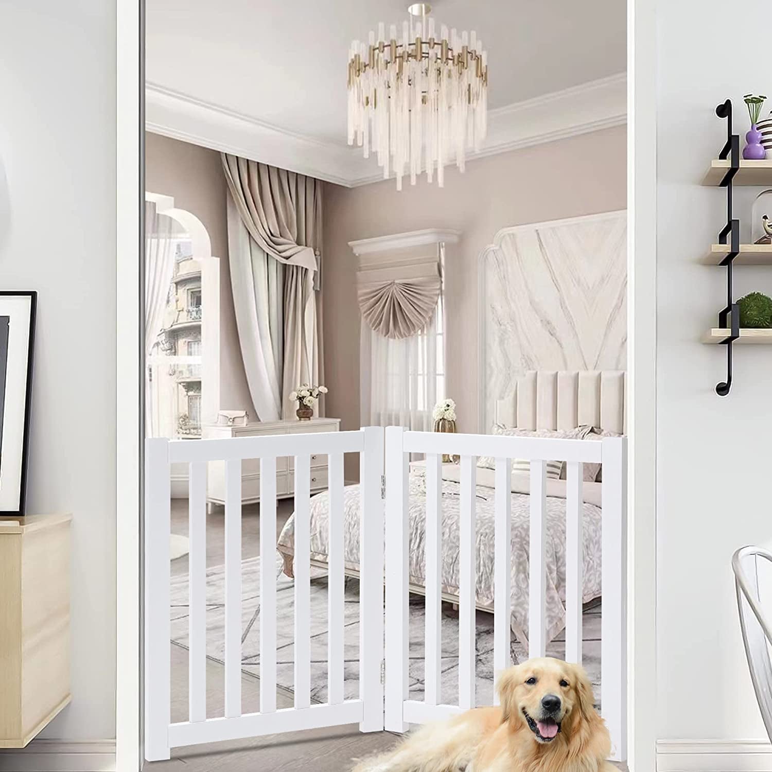 Escalera y Rampa Plegable para Perros - imagen 8
